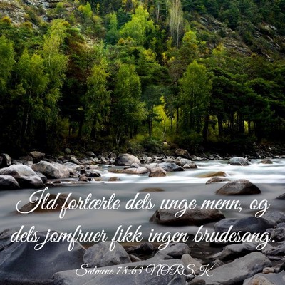 Picture 03 - Salmene 78:63 NORSK - Ild fortærte dets unge menn, og dets jomfruer - Bible Verse Picture