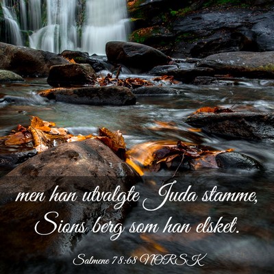 Picture 03 - Salmene 78:68 NORSK - men han utvalgte Juda stamme, Sions berg som han - Bible Verse Picture