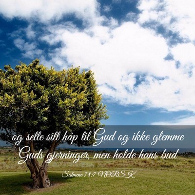 Picture 03 - Salmene 78:7 NORSK - og sette sitt håp til Gud og ikke glemme Guds - Bible Verse Picture