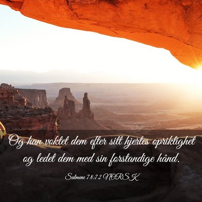 Picture 03 - Salmene 78:72 NORSK - Og han voktet dem efter sitt hjertes opriktighet - Bible Verse Picture