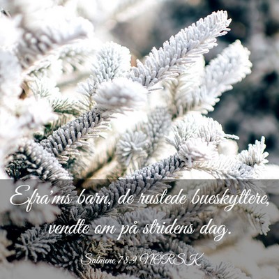 Picture 03 - Salmene 78:9 NORSK - Efra'ms barn, de rustede bueskyttere, vendte om - Bible Verse Picture