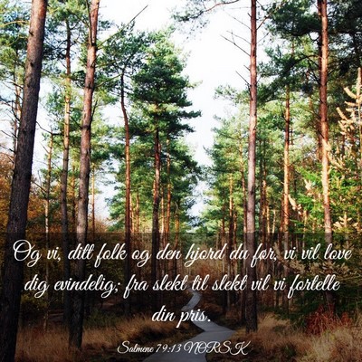 Picture 03 - Salmene 79:13 NORSK - Og vi, ditt folk og den hjord du før, vi vil - Bible Verse Picture