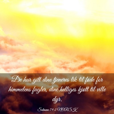 Picture 03 - Salmene 79:2 NORSK - De har gitt dine tjeneres lik til føde for - Bible Verse Picture