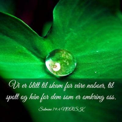 Picture 03 - Salmene 79:4 NORSK - Vi er blitt til skam for våre naboer, til spott - Bible Verse Picture