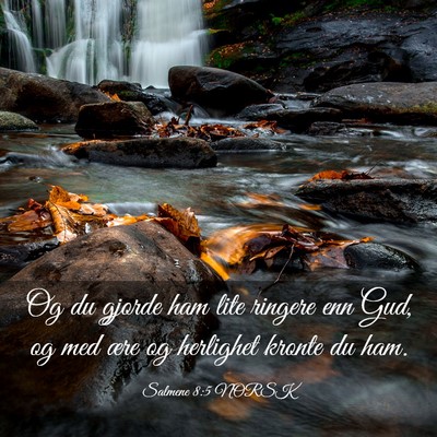Picture 03 - Salmene 8:5 NORSK - Og du gjorde ham lite ringere enn Gud, og med - Bible Verse Picture