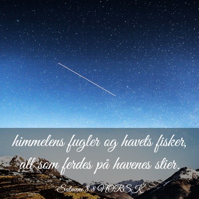 Picture 03 - Salmene 8:8 NORSK - himmelens fugler og havets fisker, alt som ferdes - Bible Verse Picture