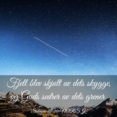 Picture 03 - Salmene 80:10 NORSK - Fjell blev skjult av dets skygge, og Guds sedrer - Bible Verse Picture