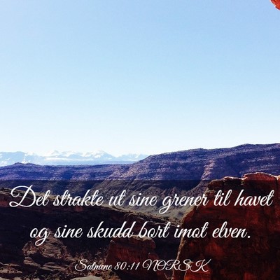 Picture 03 - Salmene 80:11 NORSK - Det strakte ut sine grener til havet og sine - Bible Verse Picture