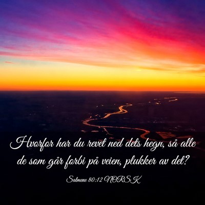 Picture 03 - Salmene 80:12 NORSK - Hvorfor har du revet ned dets hegn, så alle de - Bible Verse Picture