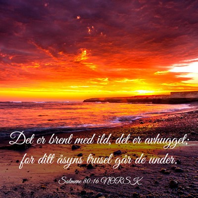Picture 03 - Salmene 80:16 NORSK - Det er brent med ild, det er avhugget; for ditt - Bible Verse Picture