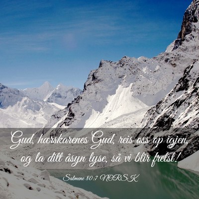 Picture 03 - Salmene 80:7 NORSK - Gud, hærskarenes Gud, reis oss op igjen, og la - Bible Verse Picture