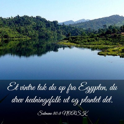 Picture 03 - Salmene 80:8 NORSK - Et vintre tok du op fra Egypten, du drev - Bible Verse Picture