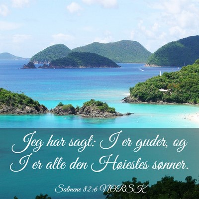 Picture 03 - Salmene 82:6 NORSK - Jeg har sagt: I er guder, og I er alle den - Bible Verse Picture