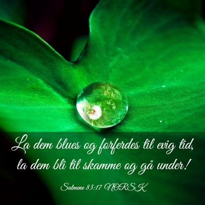 Picture 03 - Salmene 83:17 NORSK - La dem blues og forferdes til evig tid, la dem - Bible Verse Picture