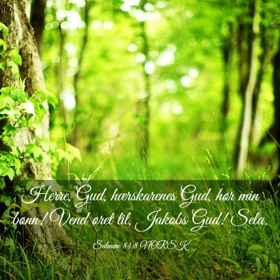 Picture 03 - Salmene 84:8 NORSK - Herre, Gud, hærskarenes Gud, hør min bønn! - Bible Verse Picture