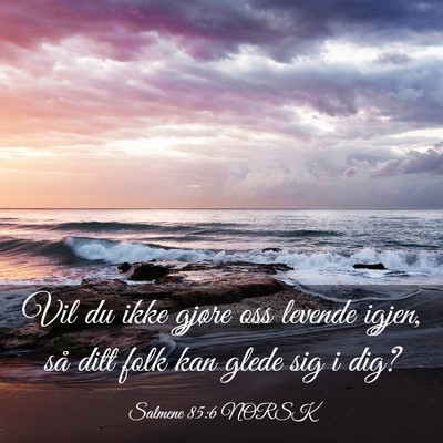 Picture 03 - Salmene 85:6 NORSK - Vil du ikke gjøre oss levende igjen, så ditt - Bible Verse Picture