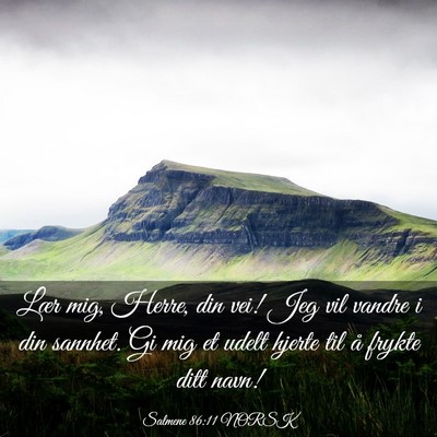 Picture 03 - Salmene 86:11 NORSK - Lær mig, Herre, din vei! Jeg vil vandre i din - Bible Verse Picture