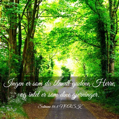 Picture 03 - Salmene 86:8 NORSK - Ingen er som du blandt gudene, Herre, og intet er - Bible Verse Picture