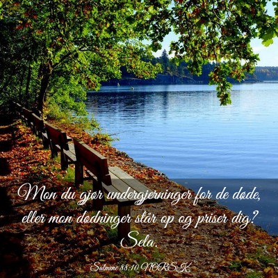 Picture 03 - Salmene 88:10 NORSK - Mon du gjør undergjerninger for de døde, eller - Bible Verse Picture