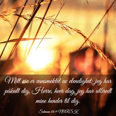 Picture 03 - Salmene 88:9 NORSK - Mitt øie er vansmektet av elendighet; jeg har - Bible Verse Picture