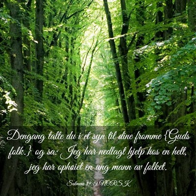 Picture 03 - Salmene 89:19 NORSK - Dengang talte du i et syn til dine fromme {Guds - Bible Verse Picture