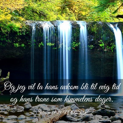 Picture 03 - Salmene 89:29 NORSK - Og jeg vil la hans avkom bli til evig tid og hans - Bible Verse Picture
