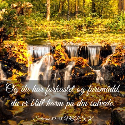 Picture 03 - Salmene 89:38 NORSK - Og du har forkastet og forsmådd, du er blitt - Bible Verse Picture