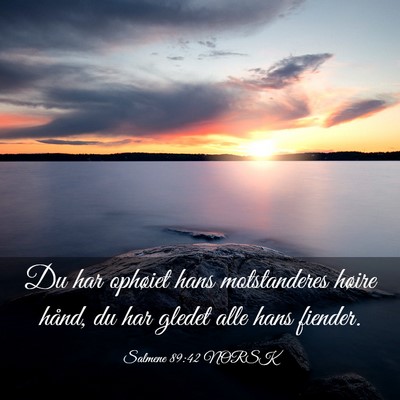 Picture 03 - Salmene 89:42 NORSK - Du har ophøiet hans motstanderes høire hånd, - Bible Verse Picture