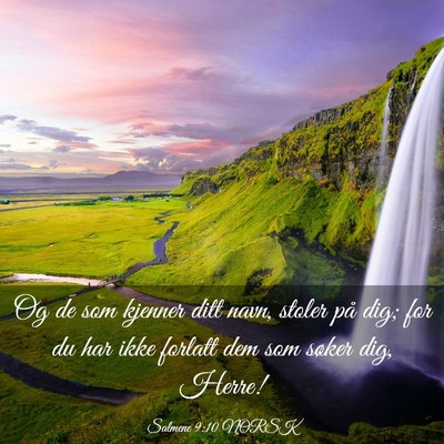 Picture 03 - Salmene 9:10 NORSK - Og de som kjenner ditt navn, stoler på dig; for - Bible Verse Picture