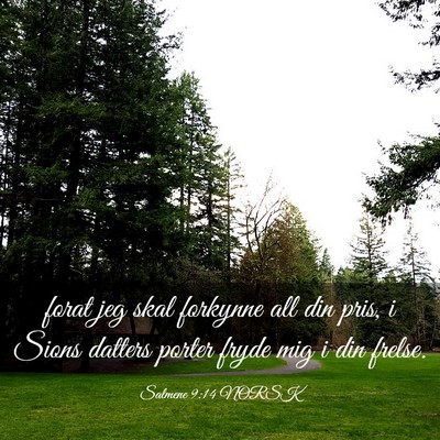 Picture 03 - Salmene 9:14 NORSK - forat jeg skal forkynne all din pris, i Sions - Bible Verse Picture