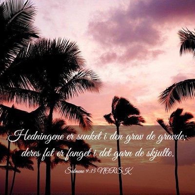 Picture 03 - Salmene 9:15 NORSK - Hedningene er sunket i den grav de gravde; deres - Bible Verse Picture