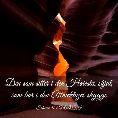 Picture 03 - Salmene 91:1 NORSK - Den som sitter i den Høiestes skjul, som bor i - Bible Verse Picture