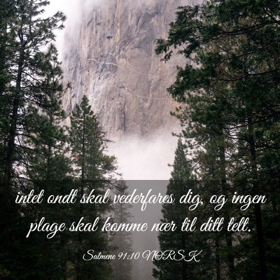 Picture 03 - Salmene 91:10 NORSK - intet ondt skal vederfares dig, og ingen plage - Bible Verse Picture