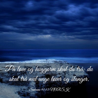 Picture 03 - Salmene 91:13 NORSK - På løve og huggorm skal du trå; du skal trå - Bible Verse Picture