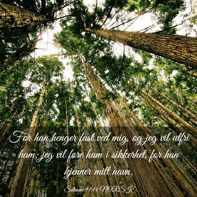 Picture 03 - Salmene 91:14 NORSK - For han henger fast ved mig, og jeg vil utfri - Bible Verse Picture