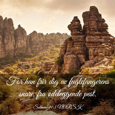 Picture 03 - Salmene 91:3 NORSK - For han frir dig av fuglefangerens snare, fra - Bible Verse Picture