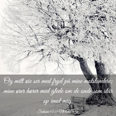 Picture 03 - Salmene 92:11 NORSK - Og mitt øie ser med fryd på mine motstandere; - Bible Verse Picture