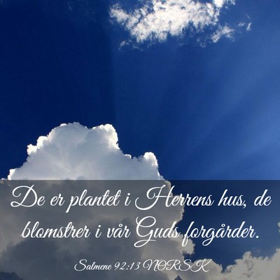 Picture 03 - Salmene 92:13 NORSK - De er plantet i Herrens hus, de blomstrer i vår - Bible Verse Picture