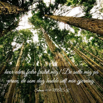 Picture 03 - Salmene 95:9 NORSK - hvor eders fedre fristet mig! De satte mig på - Bible Verse Picture