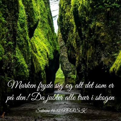 Picture 03 - Salmene 96:12 NORSK - Marken fryde sig og alt det som er på den! Da - Bible Verse Picture