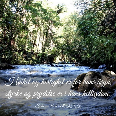 Picture 03 - Salmene 96:6 NORSK - Høihet og herlighet er for hans åsyn, styrke og - Bible Verse Picture