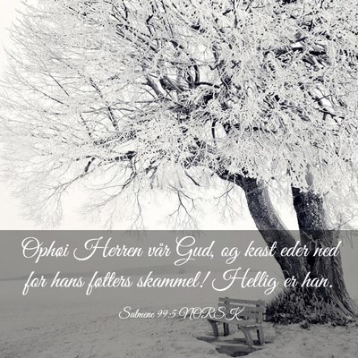 Picture 03 - Salmene 99:5 NORSK - Ophøi Herren vår Gud, og kast eder ned for hans - Bible Verse Picture