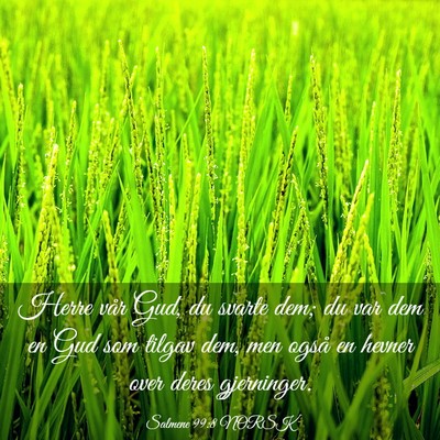 Picture 03 - Salmene 99:8 NORSK - Herre vår Gud, du svarte dem; du var dem en Gud - Bible Verse Picture