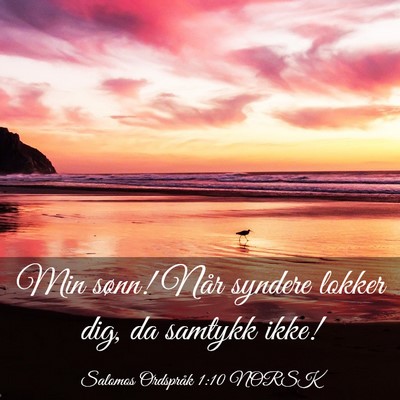 Picture 03 - Salomos Ordspråk 1:10 NORSK - Min sønn! Når syndere lokker dig, da samtykk - Bible Verse Picture