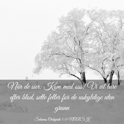 Picture 03 - Salomos Ordspråk 1:11 NORSK - Når de sier: Kom med oss! Vi vil lure efter - Bible Verse Picture