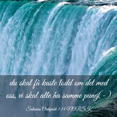 Picture 03 - Salomos Ordspråk 1:14 NORSK - du skal få kaste lodd om det med oss, vi skal - Bible Verse Picture