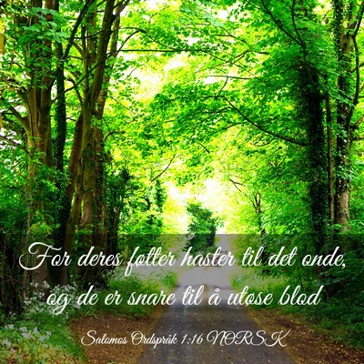 Picture 03 - Salomos Ordspråk 1:16 NORSK - For deres føtter haster til det onde, og de er - Bible Verse Picture