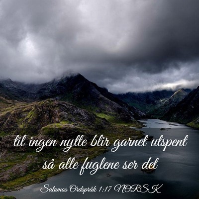 Picture 03 - Salomos Ordspråk 1:17 NORSK - til ingen nytte blir garnet utspent så alle - Bible Verse Picture