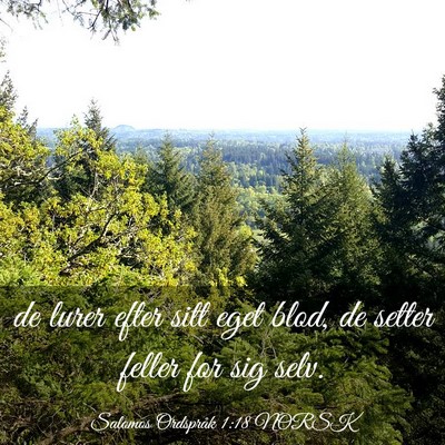 Picture 03 - Salomos Ordspråk 1:18 NORSK - de lurer efter sitt eget blod, de setter feller - Bible Verse Picture