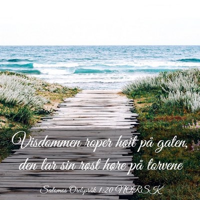 Picture 03 - Salomos Ordspråk 1:20 NORSK - Visdommen roper høit på gaten, den lar sin - Bible Verse Picture